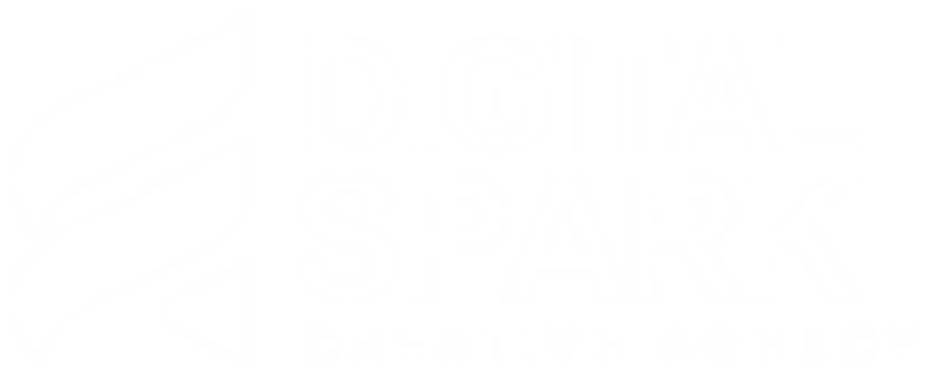 digital spark white logo